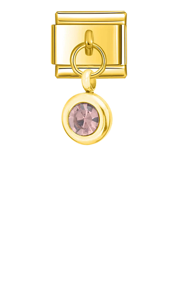 Birthstone January, on Gold - birthstone-january-on-gold-charms-45959170982223.png