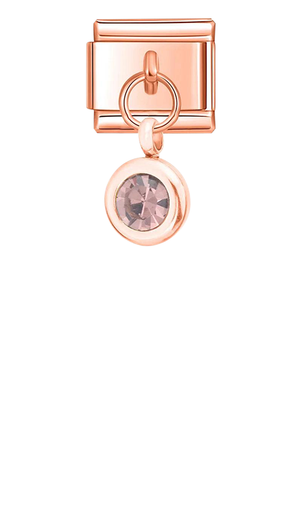 Birthstone January, on Rose Gold - birthstone-january-on-rose-gold-charms-45958867517775.png