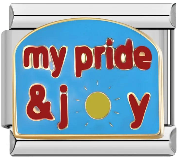 Blue Plate, My Pride & my Joy, Sun, on Silver - blue-plate-my-pride-and-my-joy-sun-on-silver-45438451089743.png