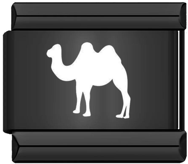 Camel, on Black - camel-on-black.png