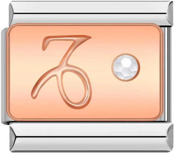 Capricorn with Stone, on Silver - capricorn-with-stone-on-silver.png