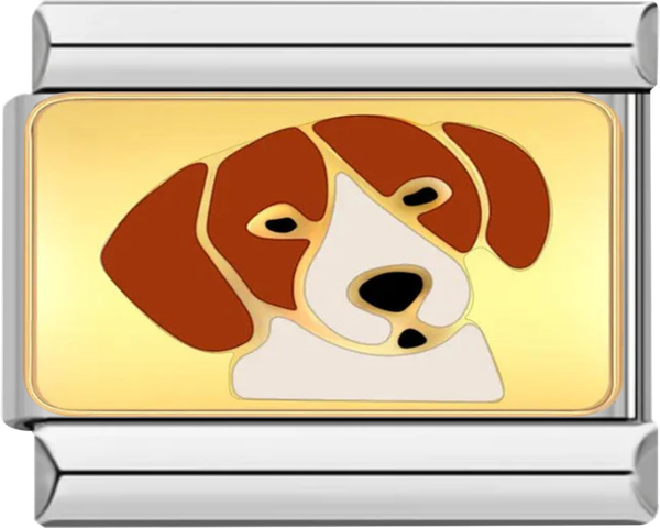 Dog, Brown and White, on silver - dog brown and white on silver.png