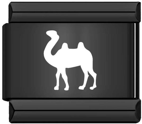 Dromedary, on Black - dromedary-on-black.png