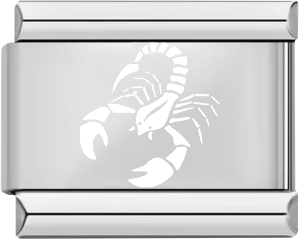 Scorpion, on Silver - scorpion on silver.png