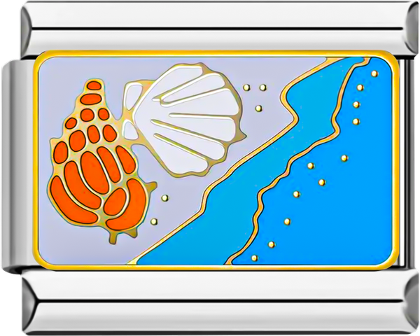 Shells at the Beach on White Sand - shells at the beach on white sand.png