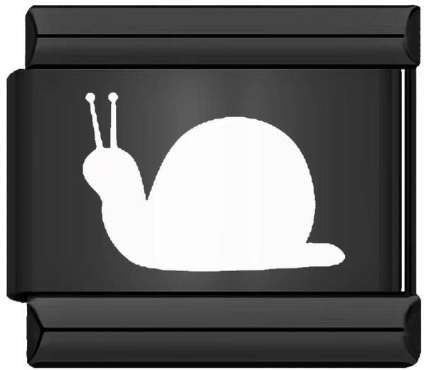 Snail, on Black - snail-on-black.png