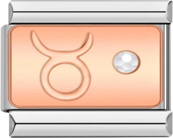 Taurus with Stone, on Silver - taurus with stone on silver charms official.png