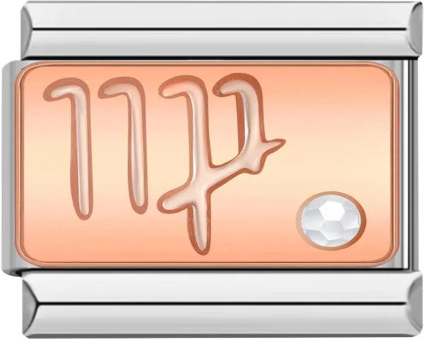 Virgo with Stone, on Silver - virgo with stone on silver charms official.png