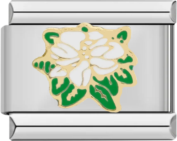 White Rose and its Green Leaves - white rose and its green leaves.png