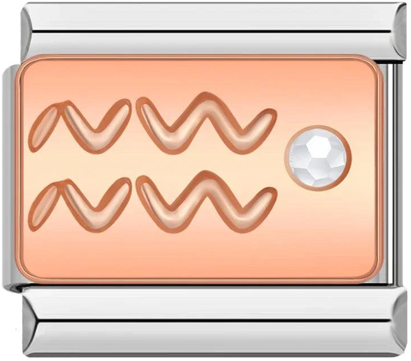 Aquarius with Stone, on Silver - aquarius-with-stone-on-silver.png