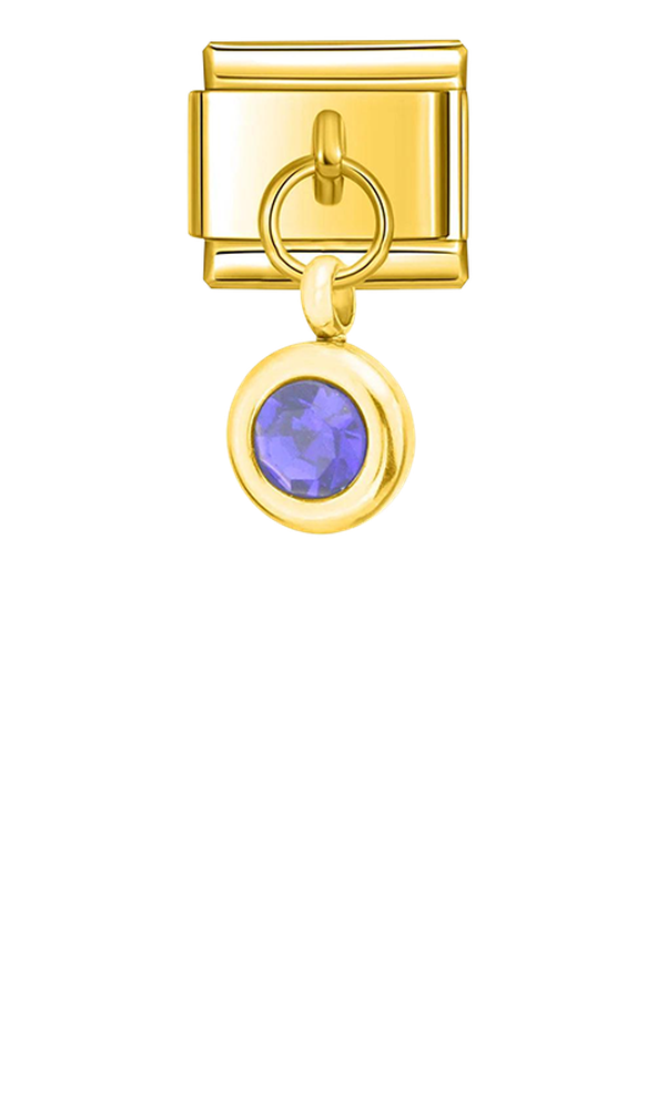 Birthstone February, on Gold - birthstone-february-on-gold-charms-45959168622927.png