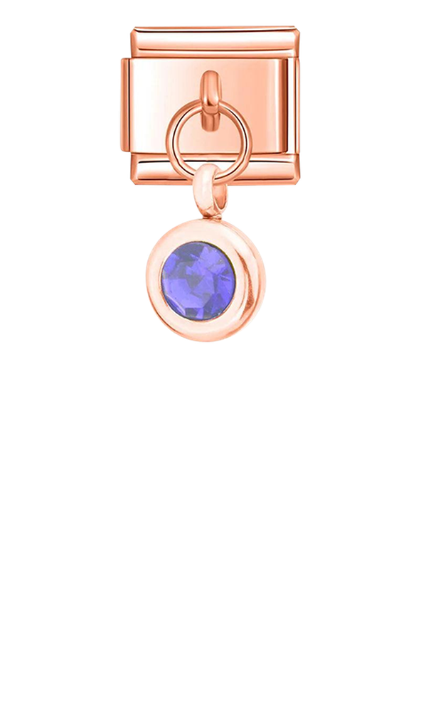 Birthstone February, on Rose Gold - birthstone-february-on-rose-gold-charms-45958867976527.png
