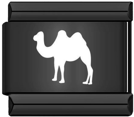 Camel, on Black - camel-on-black.png
