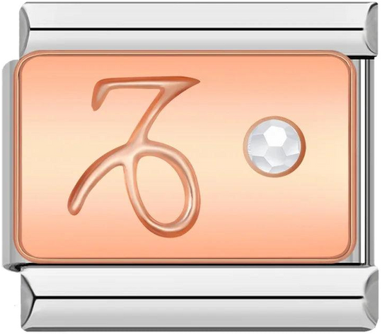 Capricorn with Stone, on Silver - capricorn-with-stone-on-silver.png