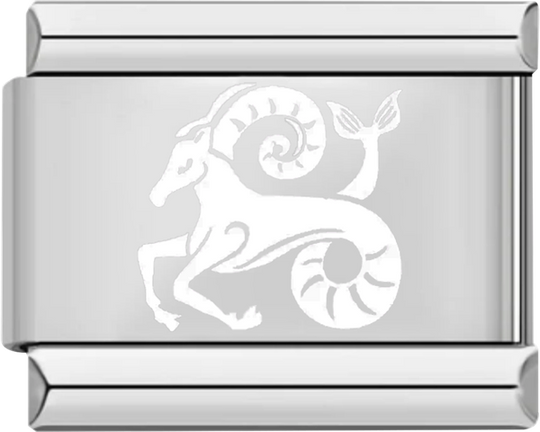 Capricorn, on Silver - capricorn on silver.png