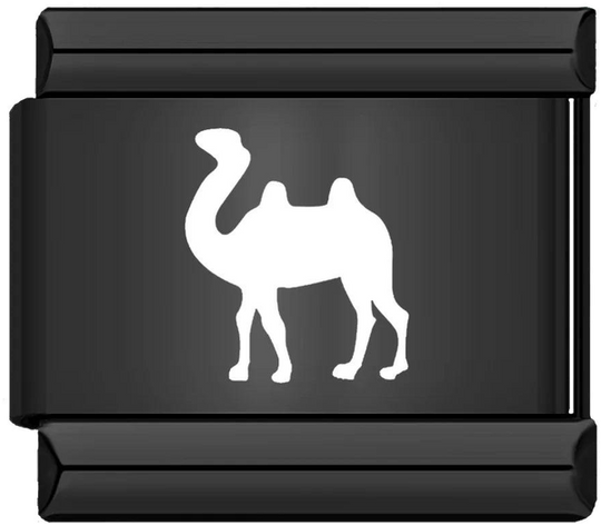 Dromedary, on Black - dromedary-on-black.png