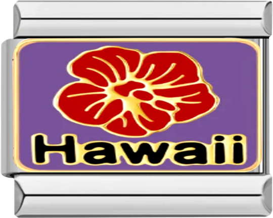 Hawaiian Red Flower - hawaiian red flower.png