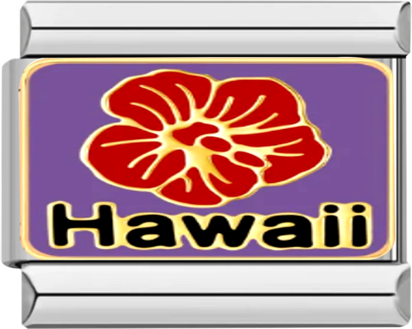Hawaiian Red Flower - hawaiian red flower.png