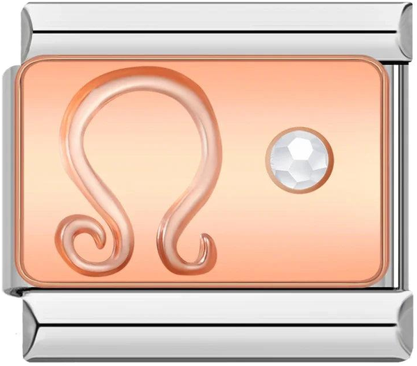 Leo with Stone, on Silver - leo-with-stone-on-silver.png