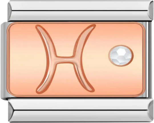 Pisces with Stone, on Silver - pisces with stone on silver charms official.png