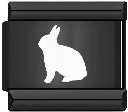 Rabbit, on Black - rabbit-on-black.png