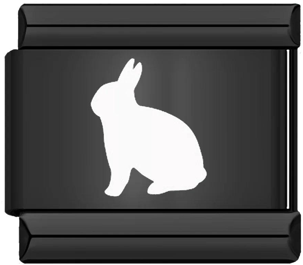 Rabbit, on Black - rabbit-on-black.png
