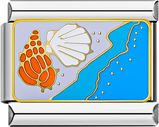 Shells at the Beach on White Sand - shells at the beach on white sand.png