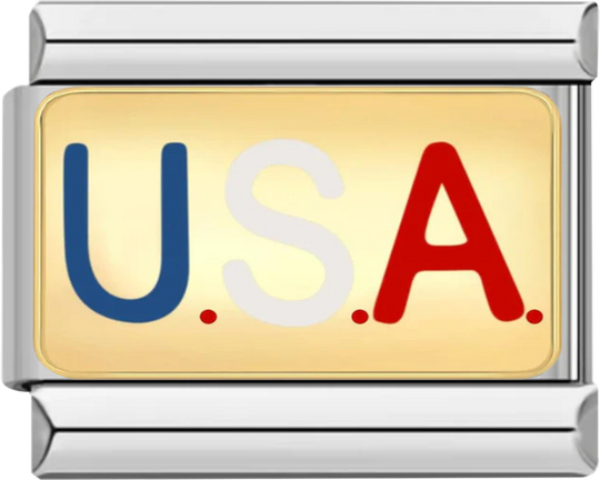 U.S.A, Gold Plate, on Silver - u s a gold plate on silver.png