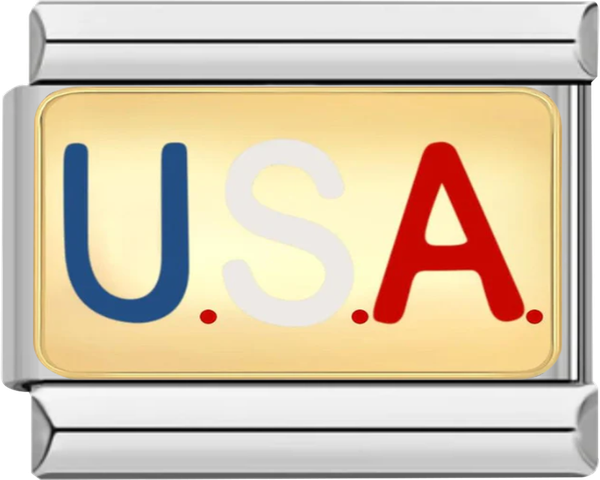 U.S.A, Gold Plate, on Silver - u s a gold plate on silver.png