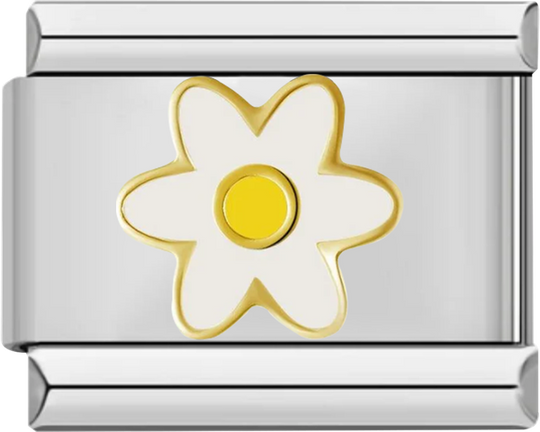 White Daisy and Her Yellow Heart - white daisy and her yellow heart.png