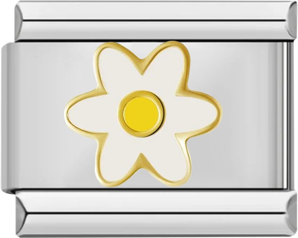 White Daisy and Her Yellow Heart - white daisy and her yellow heart.png